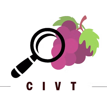 Logo CIVT